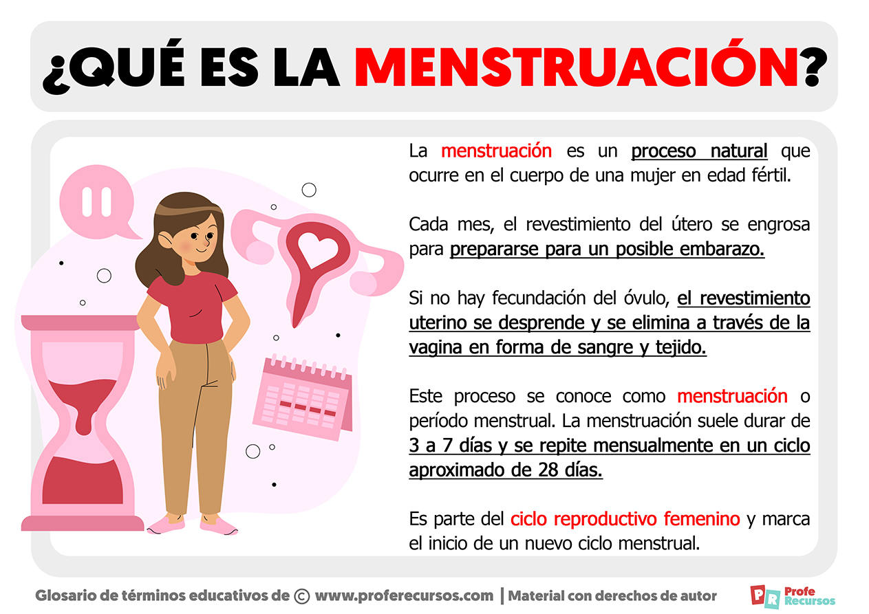 Qué Es La Menstruación Definición De Menstruación 0727