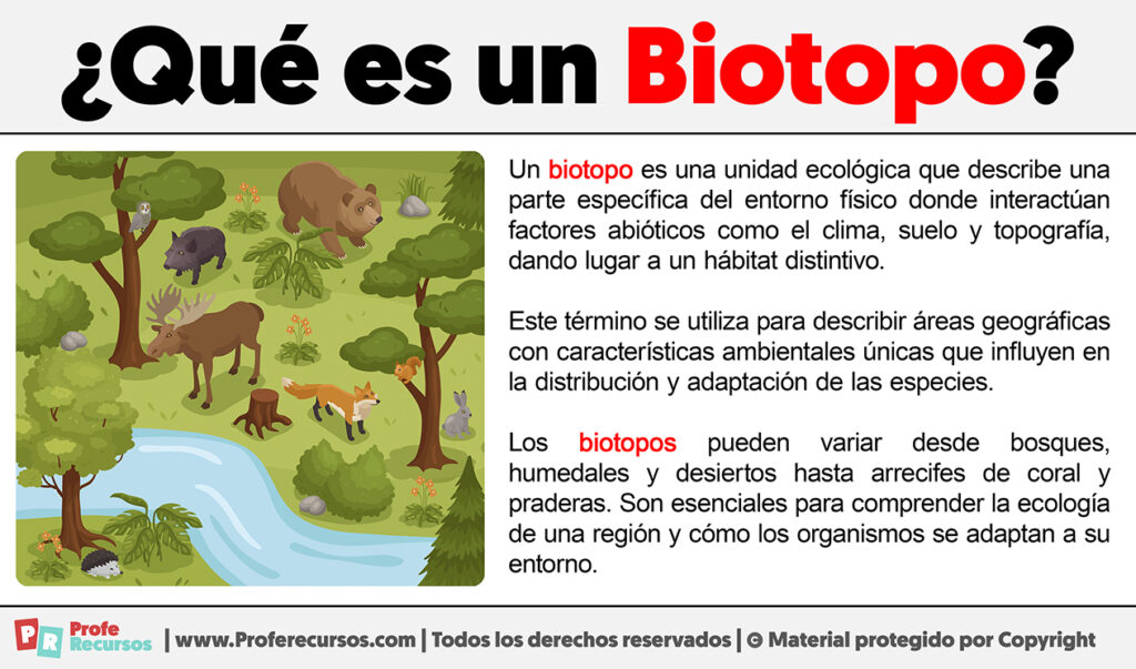 Qué Es El Biotopo