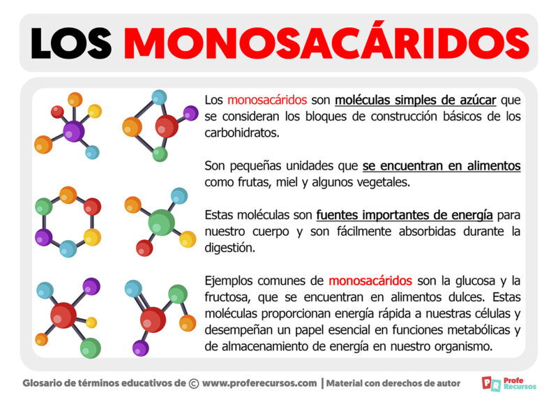 Qu Es Un Monosac Rido Definici N De Monosac Rido