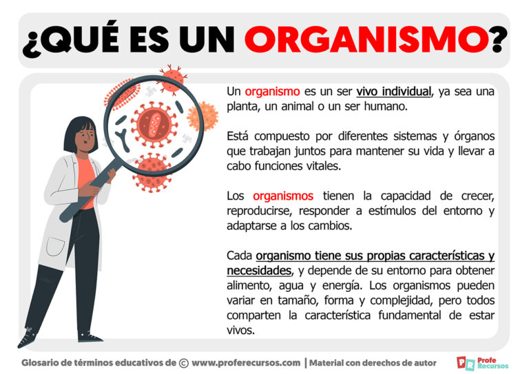 Qué Es Un Organismo Definición De Organismo 9689