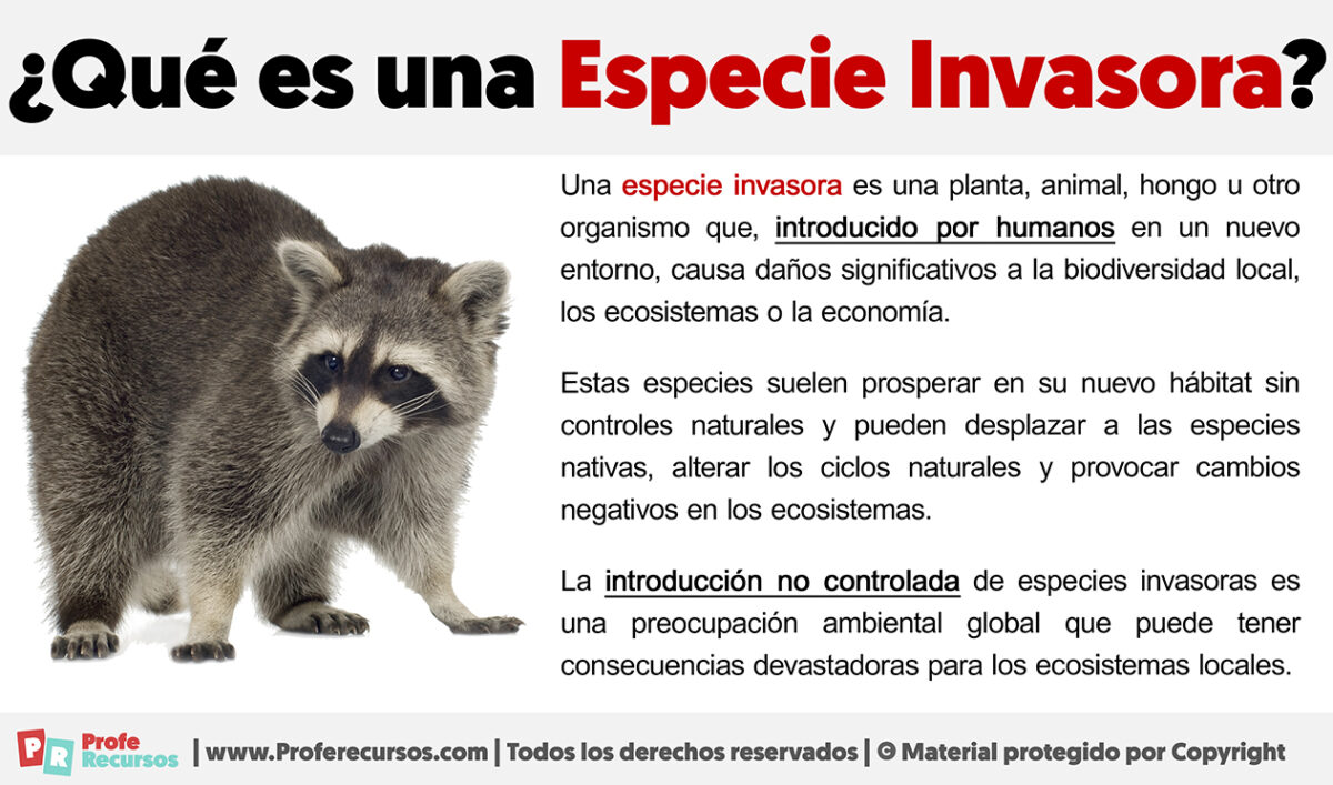 Qu Es Una Especie Invasora Definici N Y Ejemplos