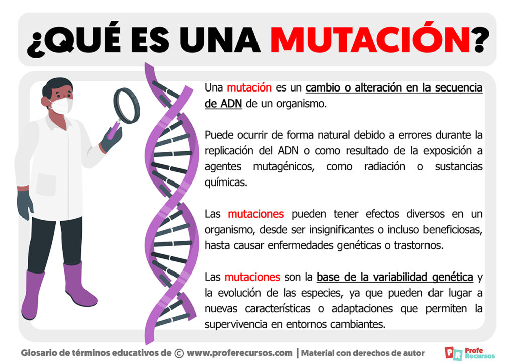 Qué Es Una Mutación Definición De Mutación Genética