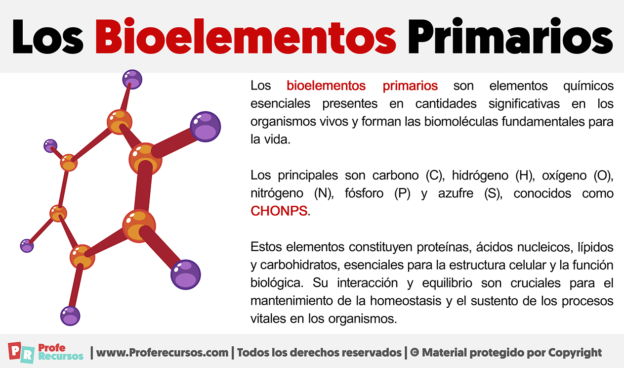 Que son los bioelementos primarios