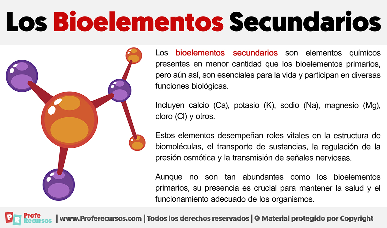 Que son los bioelementos secundarios