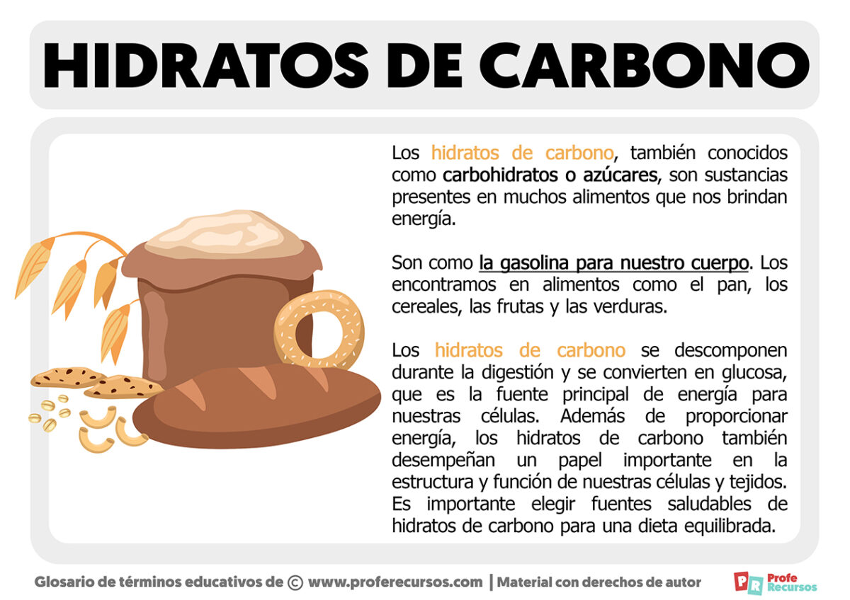 Qué Son Los Hidratos De Carbono Definición 0352