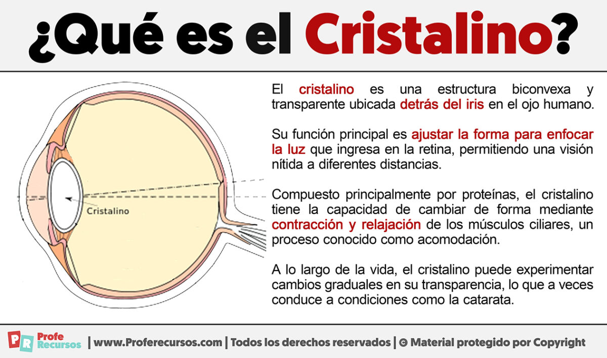 Qué es el Cristalino | Definición de Cristalino