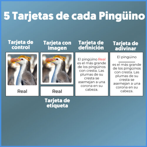 Tarjetas de los pinguinos para niños