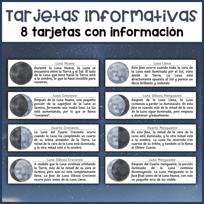 Tarjetas fases de la luna